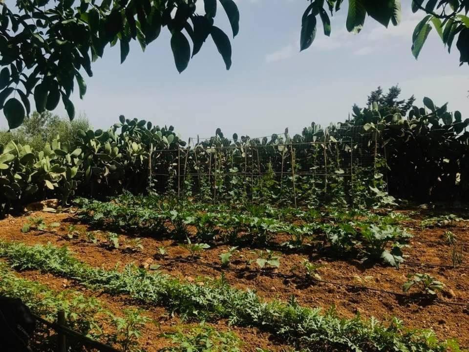 Case Graffeo مينفي المظهر الخارجي الصورة